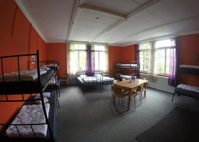 Downtown Vandrarhem *